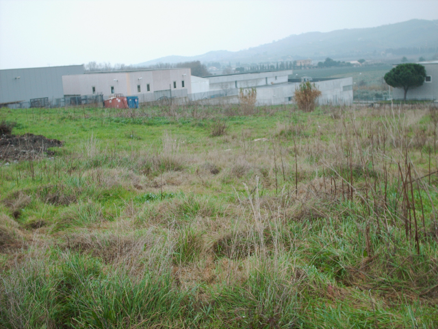 Bando di asta pubblica per la vendita di aree in zona industriale – artigianale di recente formazione di proprieta’ comunale ubicate in via Scolastica